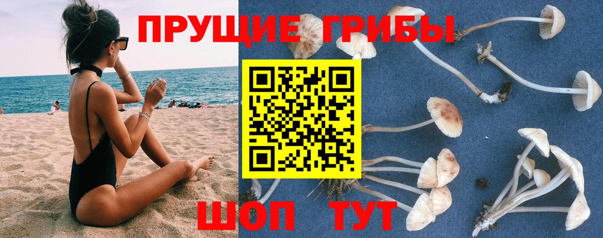 LSD-25 Партизанск