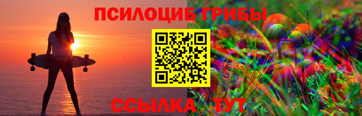 Партизанск  Псилоцибиновые грибы ЛСД  Вход с VPN 